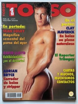 Torso No 68 (2002) (a)